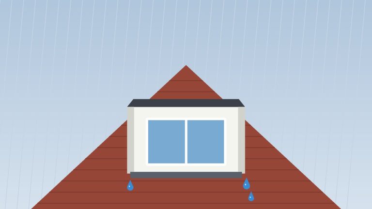 Illustratie: dakkapel waar water langs de wang en de loodaansluiting lekt